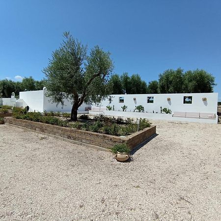 Tenuta Viale Degli Ulivi San Martino in Pensilis Bagian luar foto