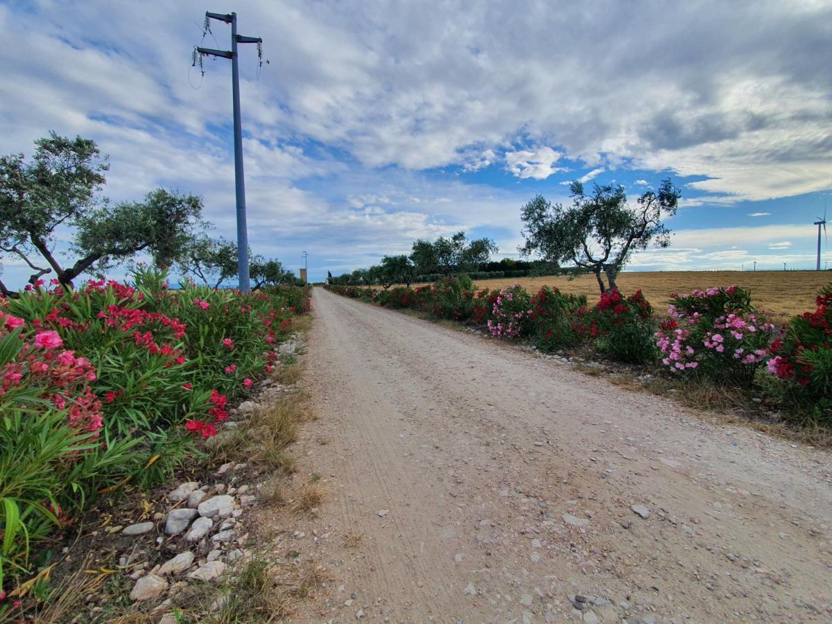 Tenuta Viale Degli Ulivi San Martino in Pensilis Bagian luar foto
