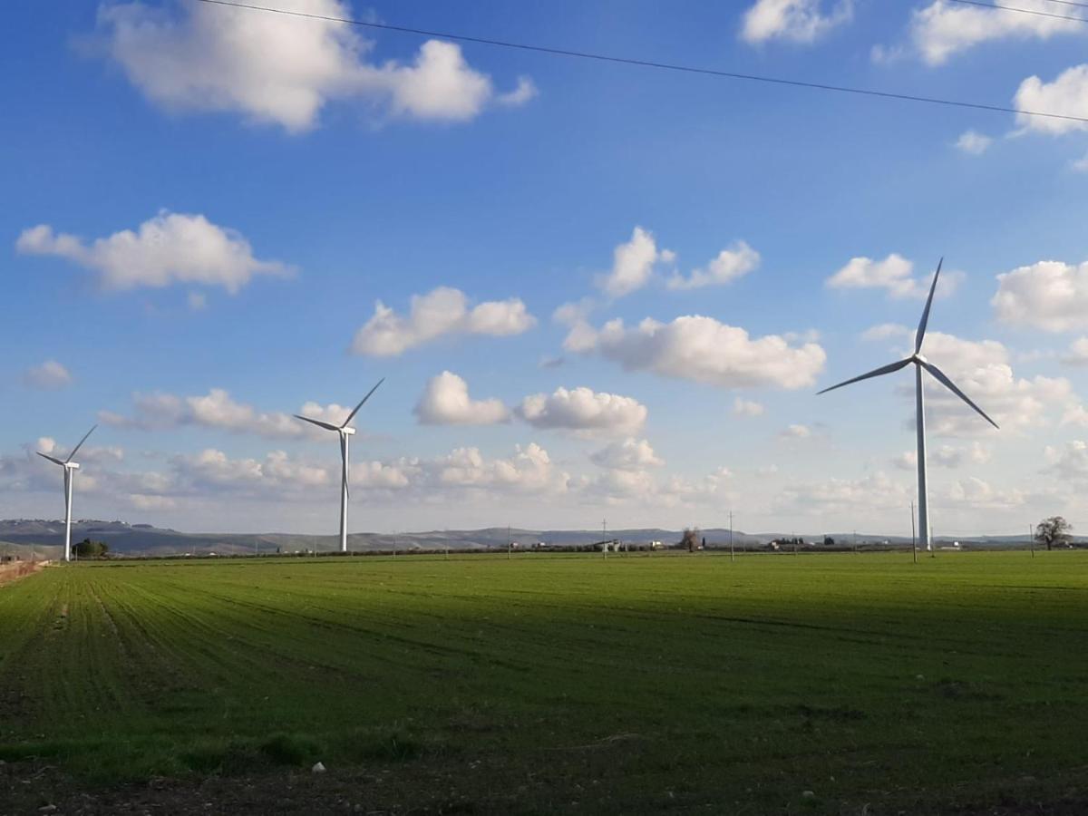 Tenuta Viale Degli Ulivi San Martino in Pensilis Bagian luar foto