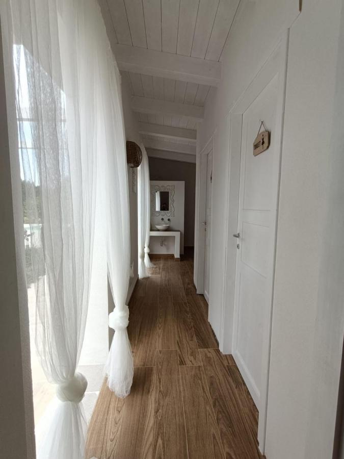 Tenuta Viale Degli Ulivi San Martino in Pensilis Bagian luar foto