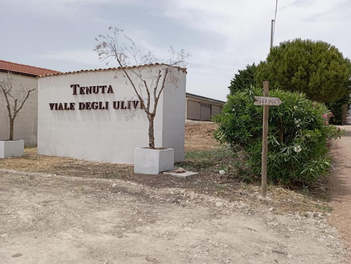 Tenuta Viale Degli Ulivi San Martino in Pensilis Bagian luar foto