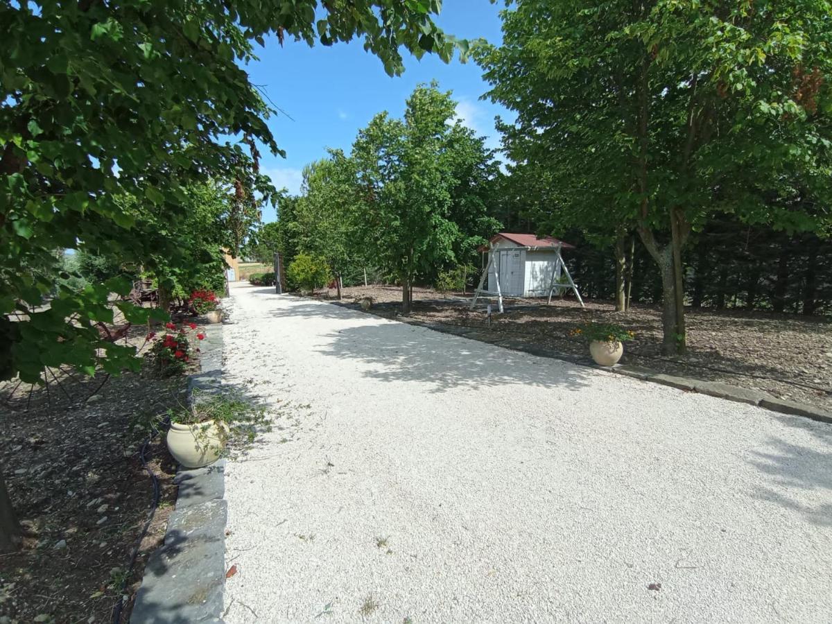 Tenuta Viale Degli Ulivi San Martino in Pensilis Bagian luar foto
