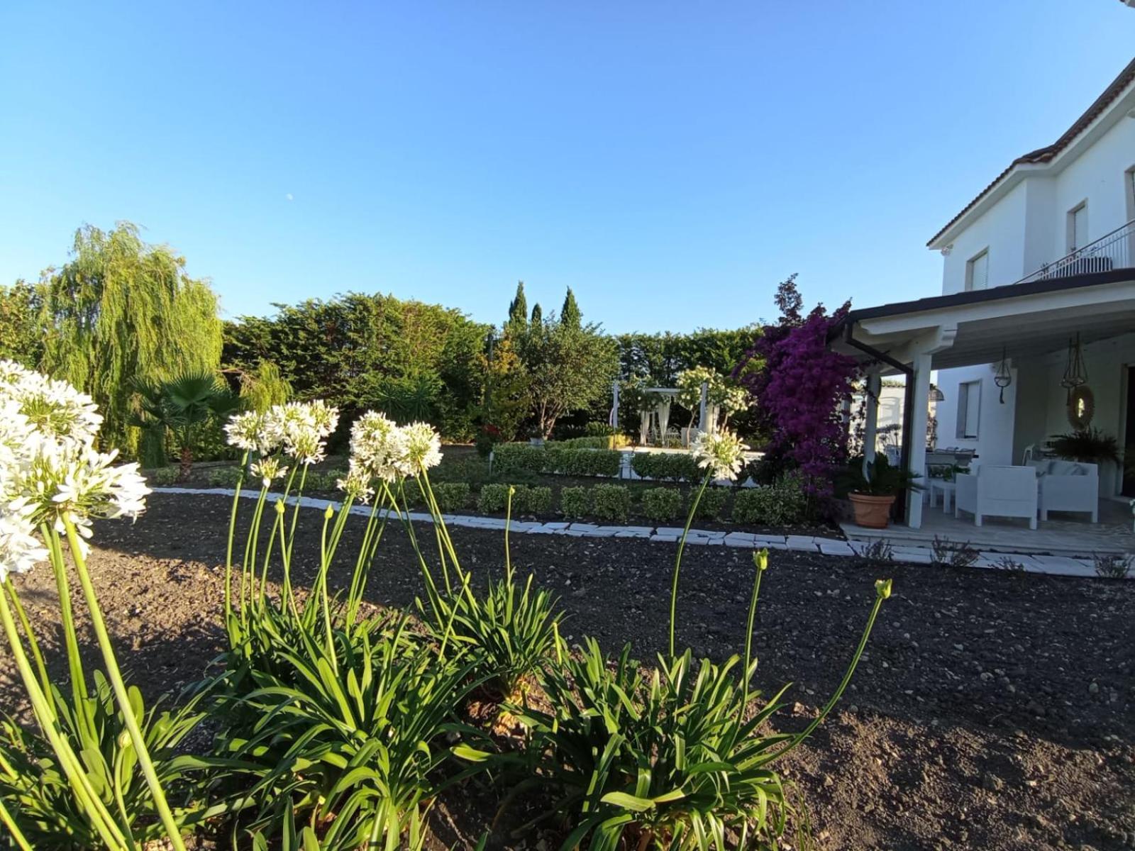 Tenuta Viale Degli Ulivi San Martino in Pensilis Bagian luar foto