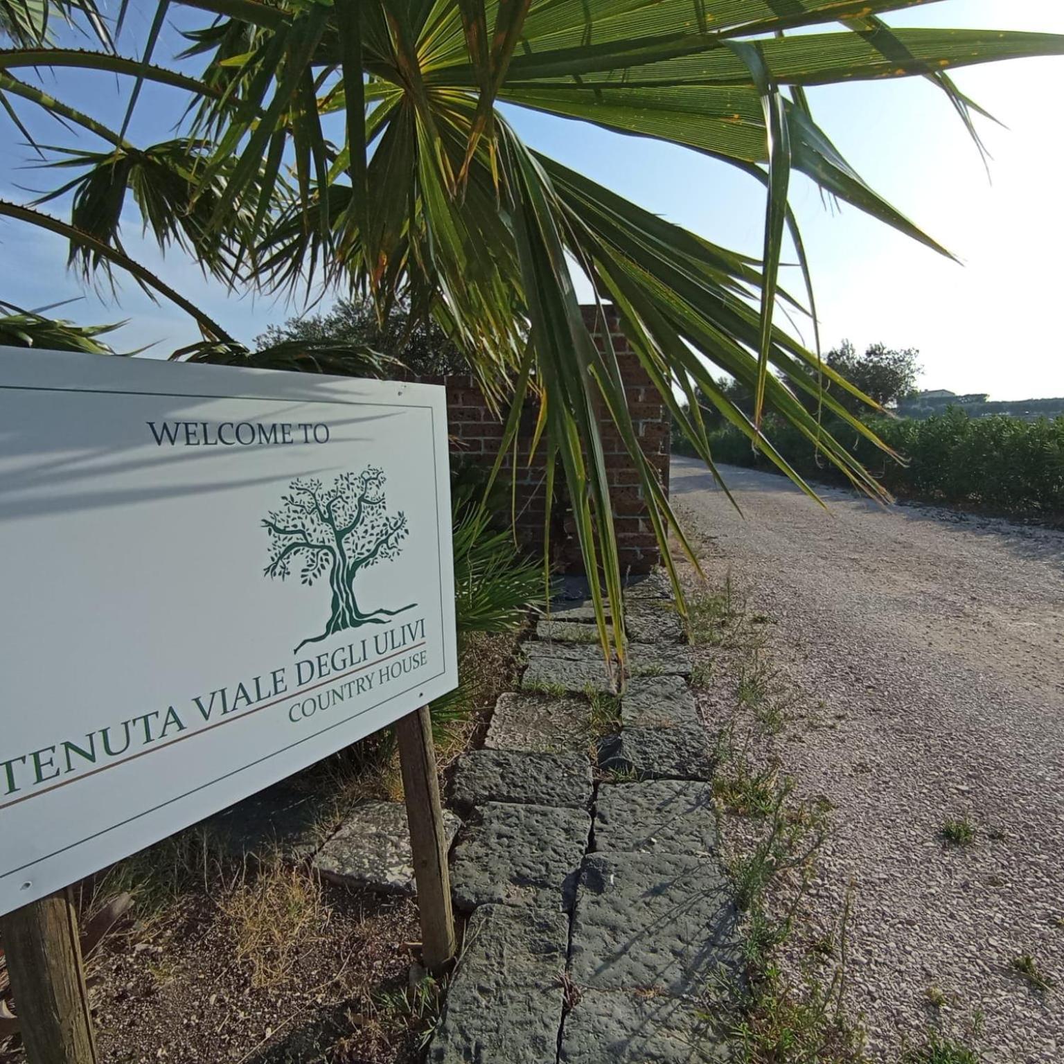 Tenuta Viale Degli Ulivi San Martino in Pensilis Bagian luar foto