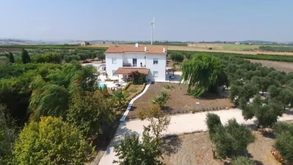 Tenuta Viale Degli Ulivi San Martino in Pensilis Bagian luar foto