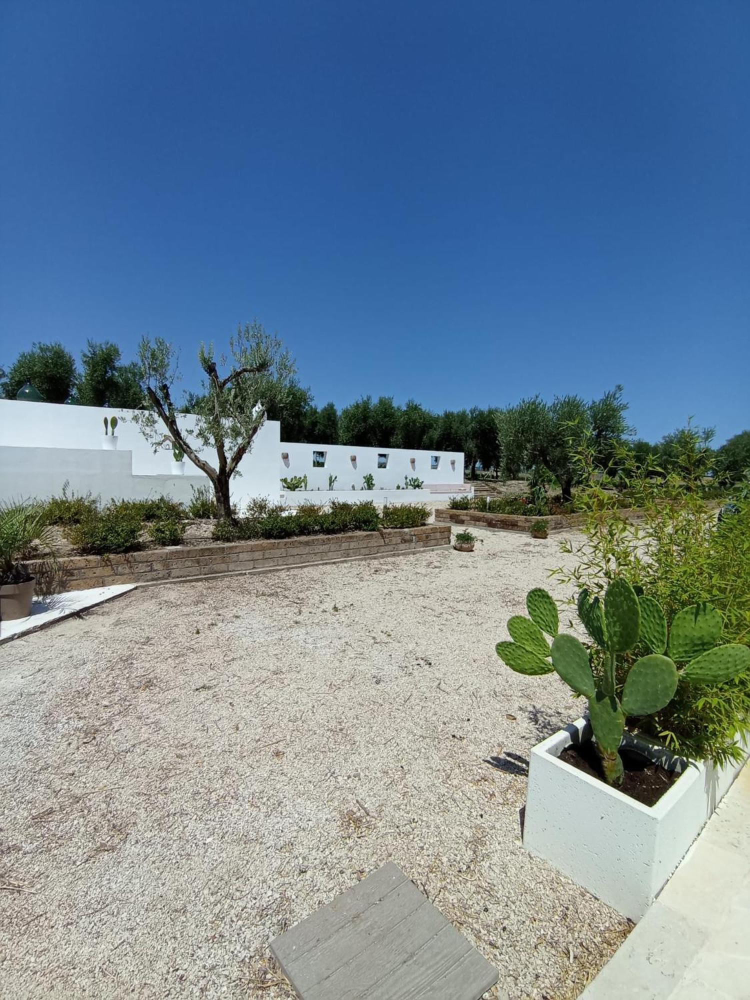 Tenuta Viale Degli Ulivi San Martino in Pensilis Bagian luar foto