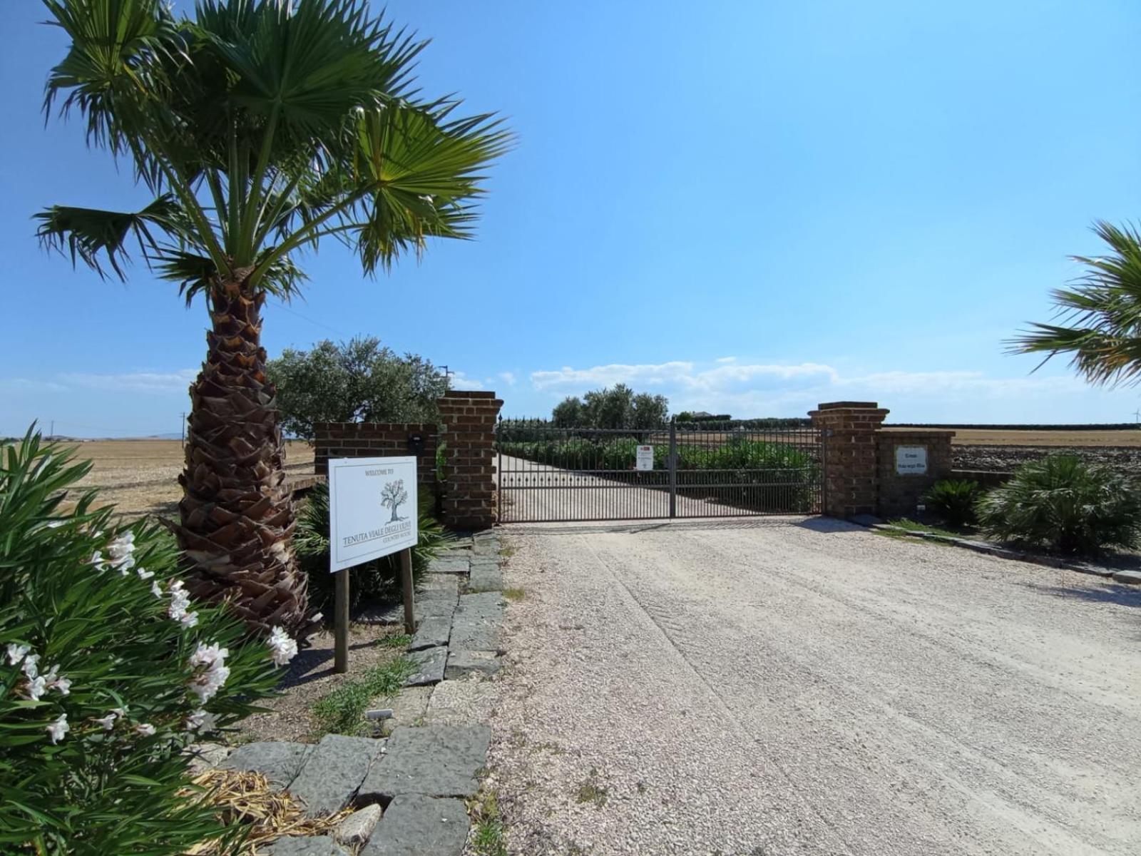 Tenuta Viale Degli Ulivi San Martino in Pensilis Bagian luar foto