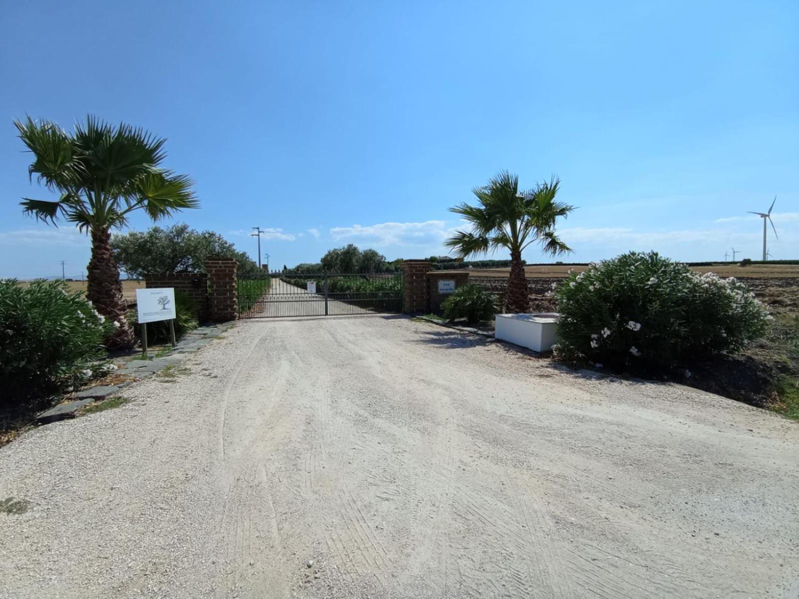 Tenuta Viale Degli Ulivi San Martino in Pensilis Bagian luar foto